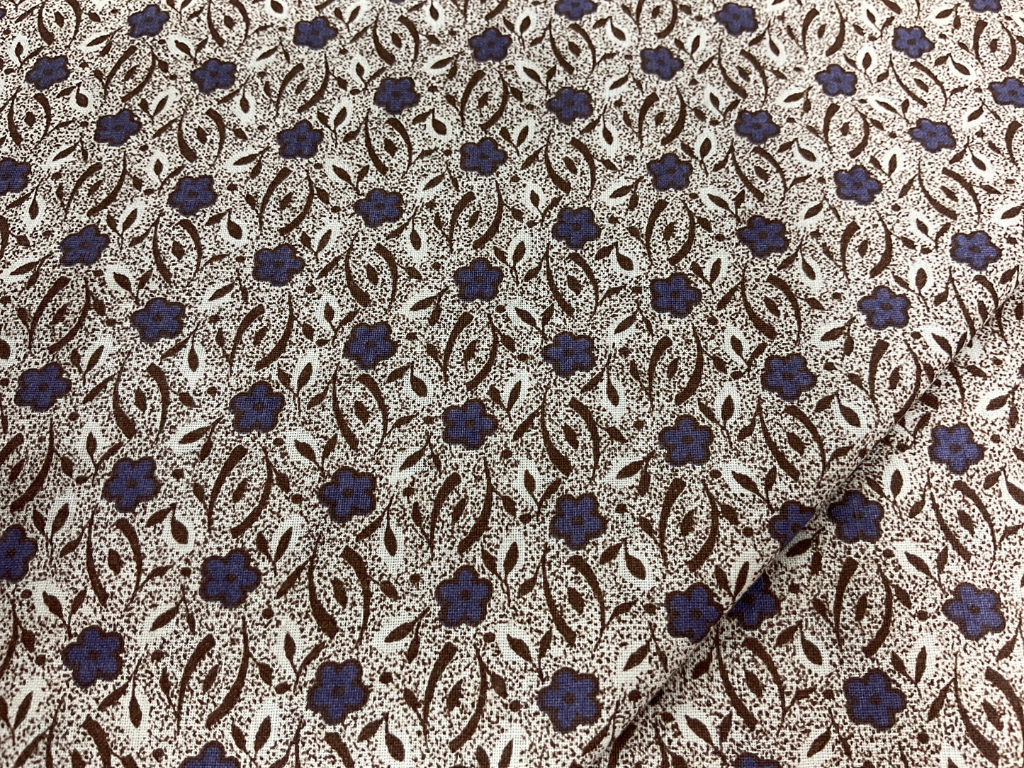 Purple Flowers on Brown