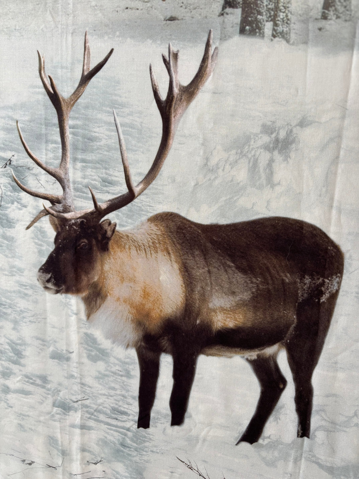Restash #0109 - Panel - Call of the Wild by Hoffman