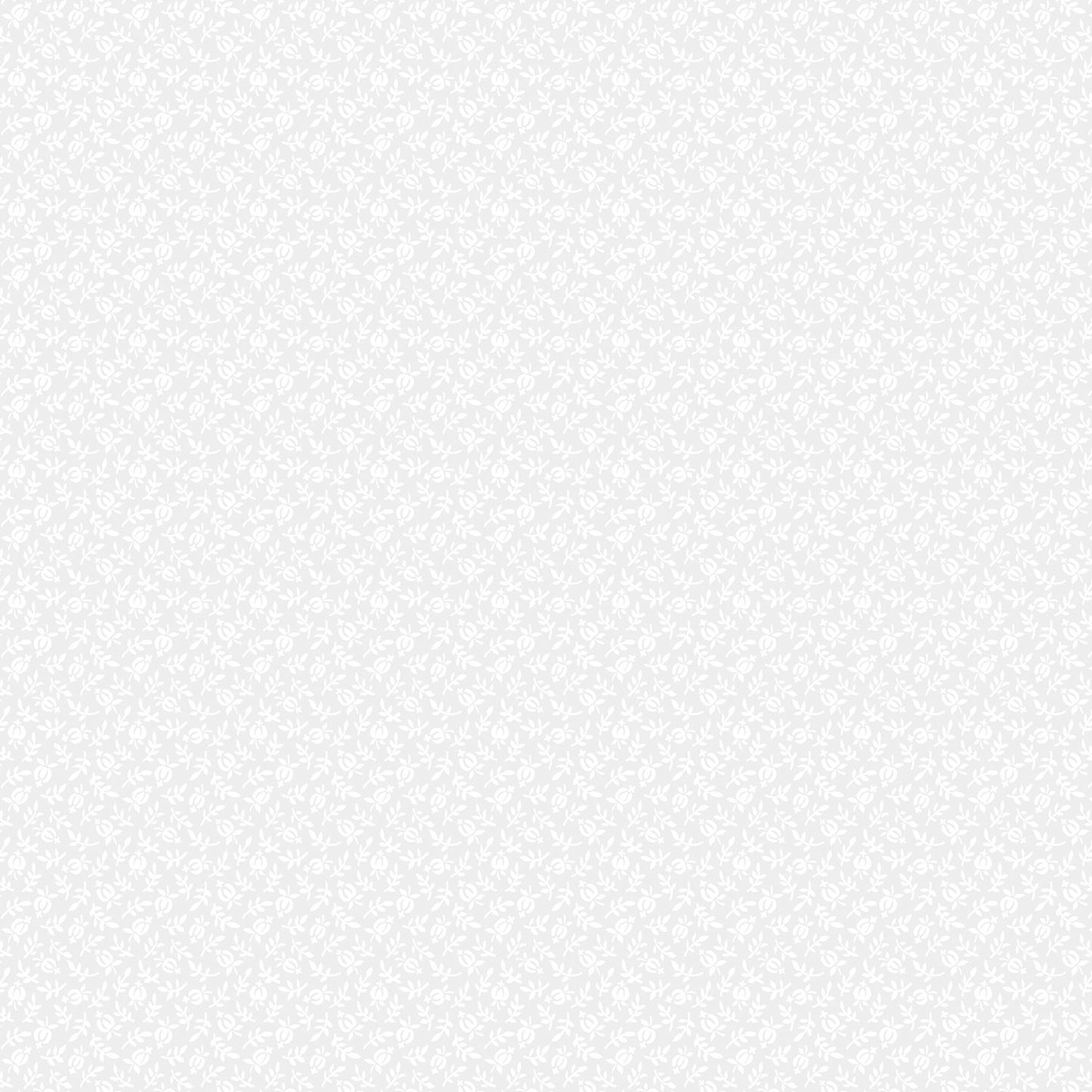 Monochrome - Squash Blossom - White on White