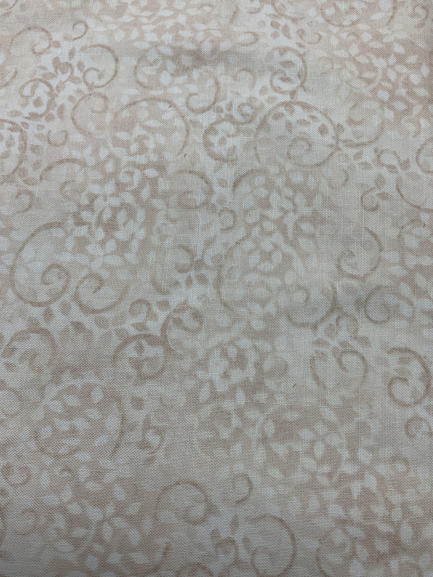 Complements - Cream - South Sea Imports