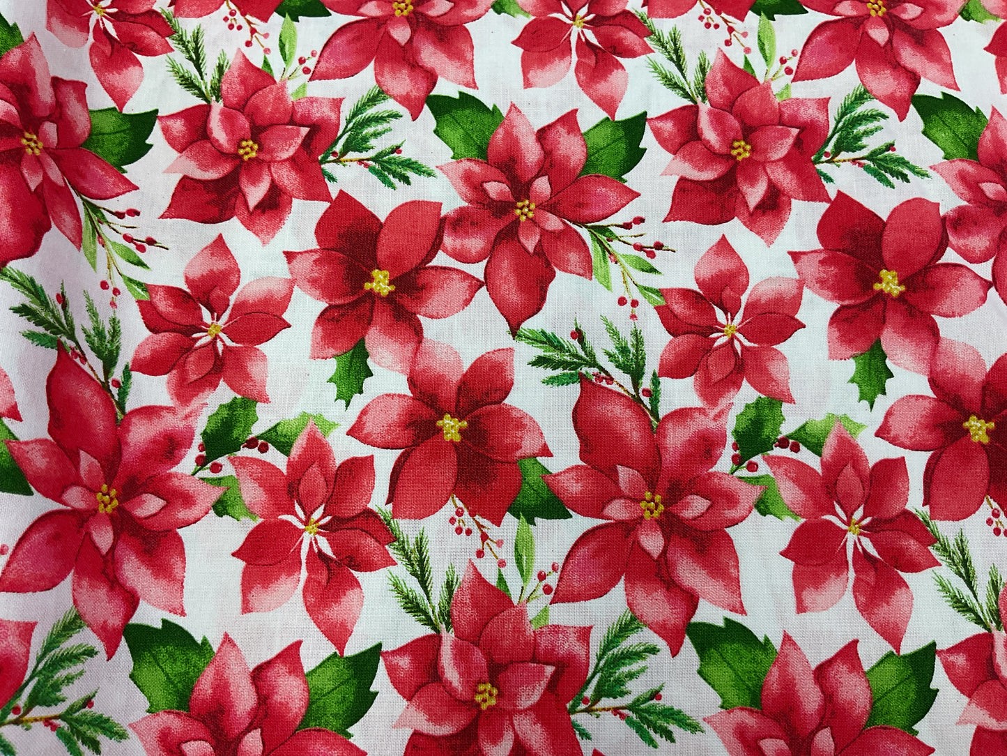 Poinsettias - red on white