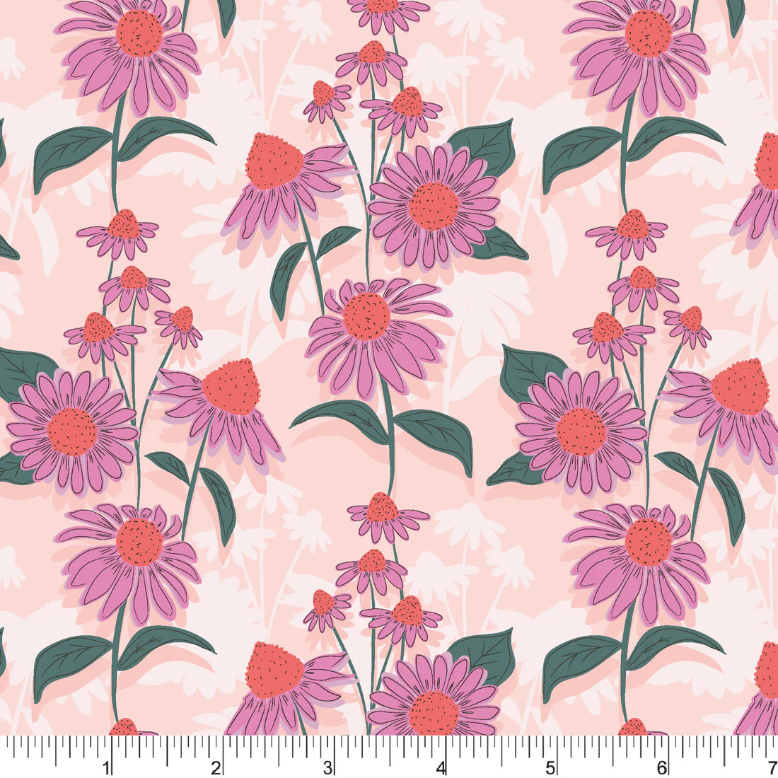 PicNYC At Central Park - Echinacea