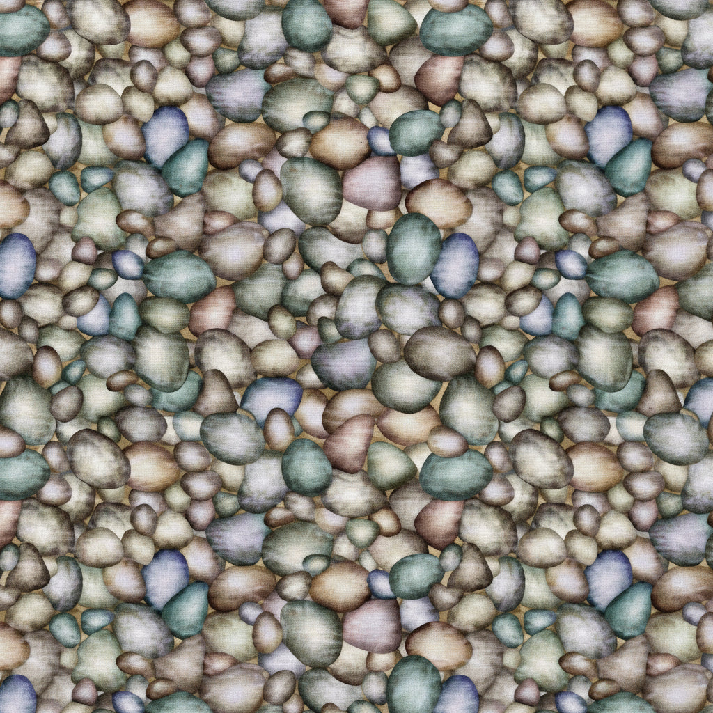 Fresh Catch River Rock Gray - QT Fabrics