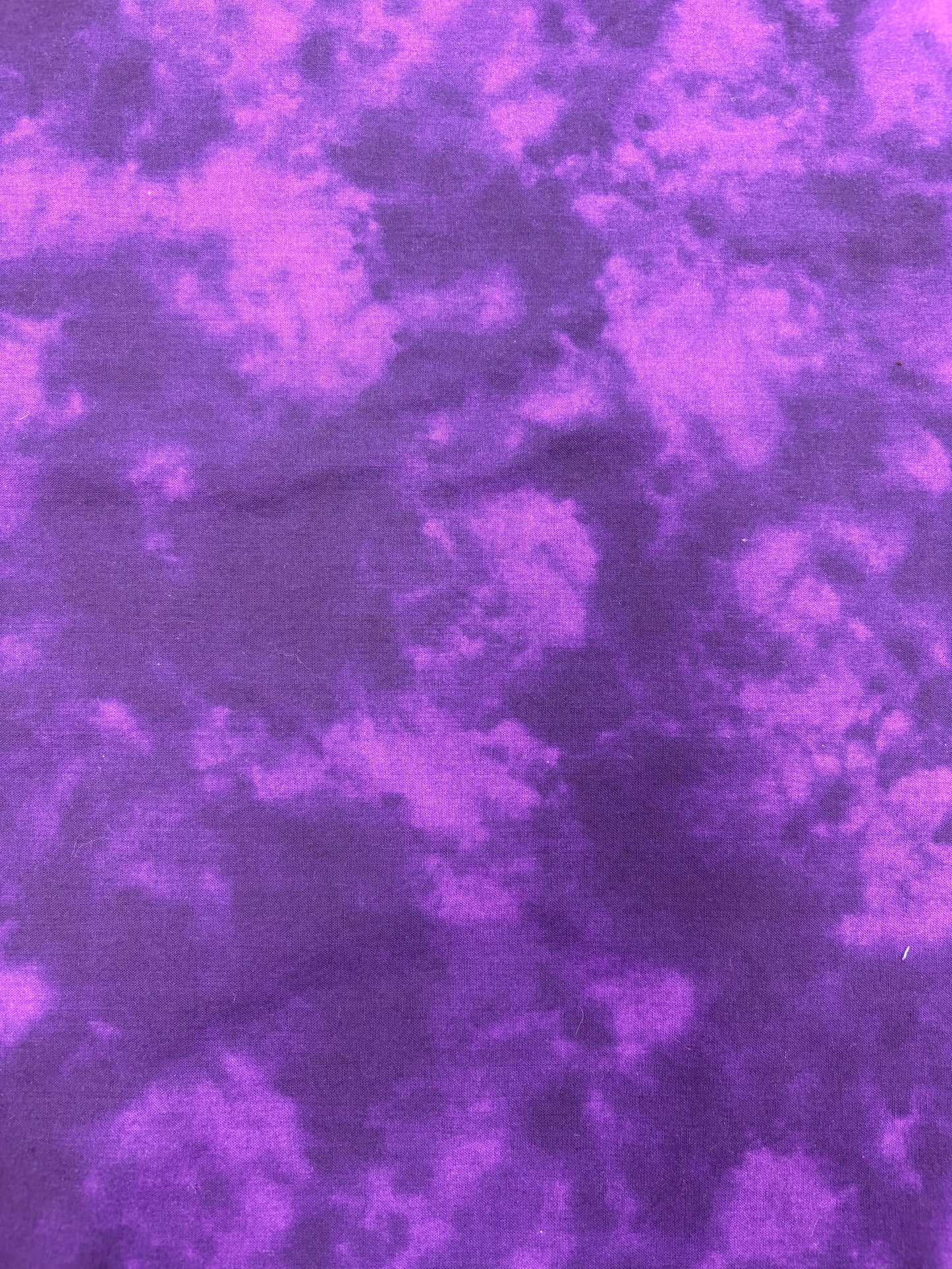 Patrick Lose for a Timeless Treasures - Purple