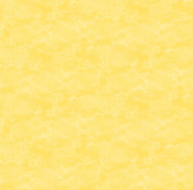 Toscana - Northcott - Custard