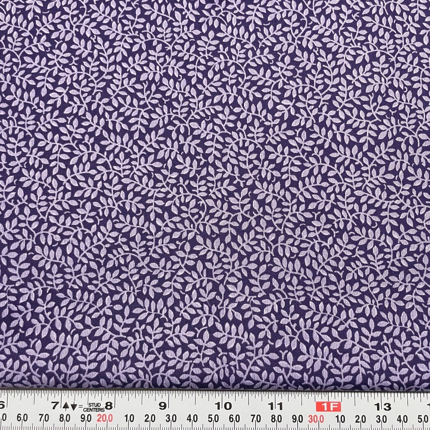 In The Beginning Collection - Northcott - Purple