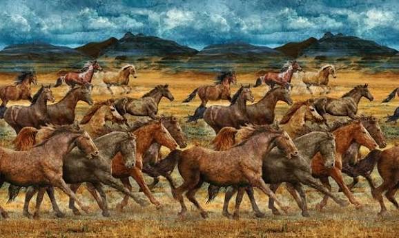 Wild Horses - Northcott