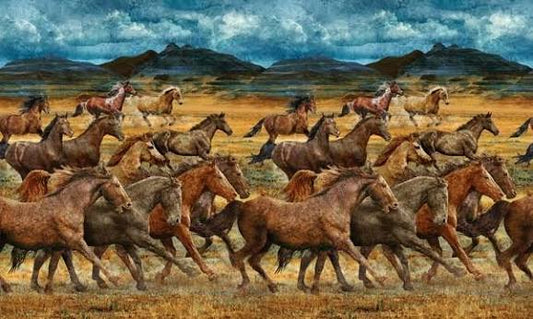 Wild Horses - Northcott
