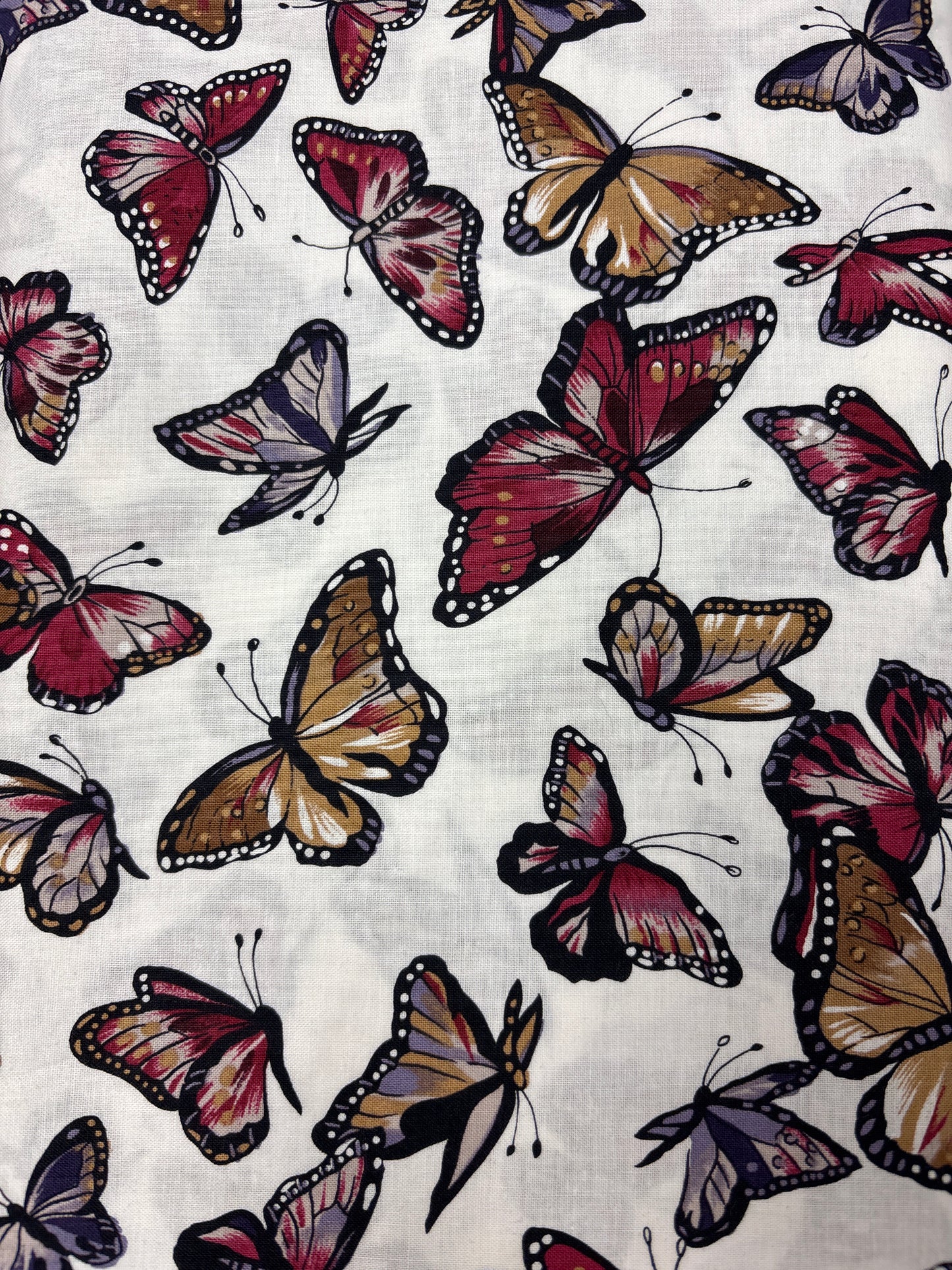 Berry Flutter - Butterflies on White