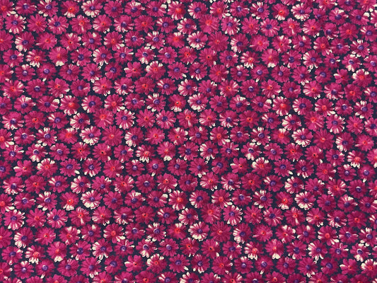 Petal Party - Robert Kaufman