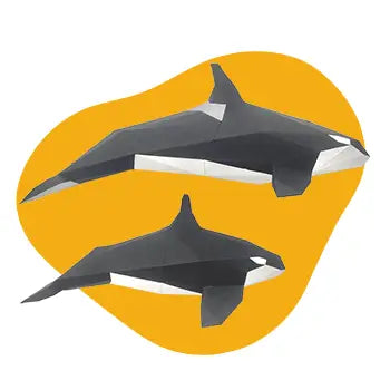 PolyPaper Kits - Orca Family