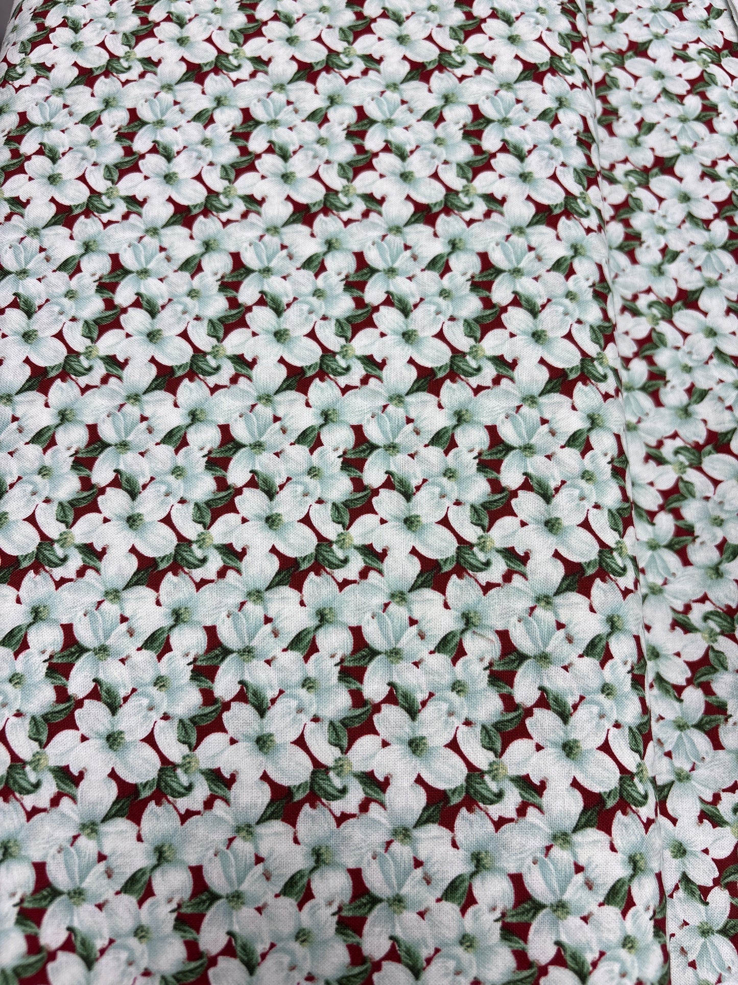 Dogwood Lane by Danielle Murray
