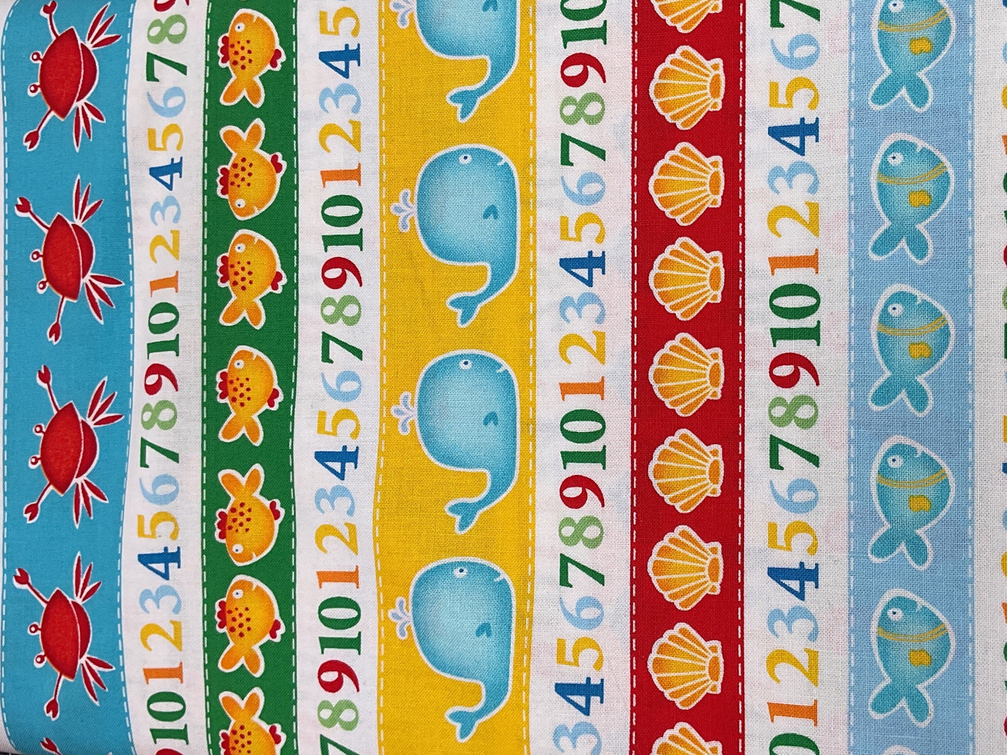 Sea Life and Numbers - Studio E
