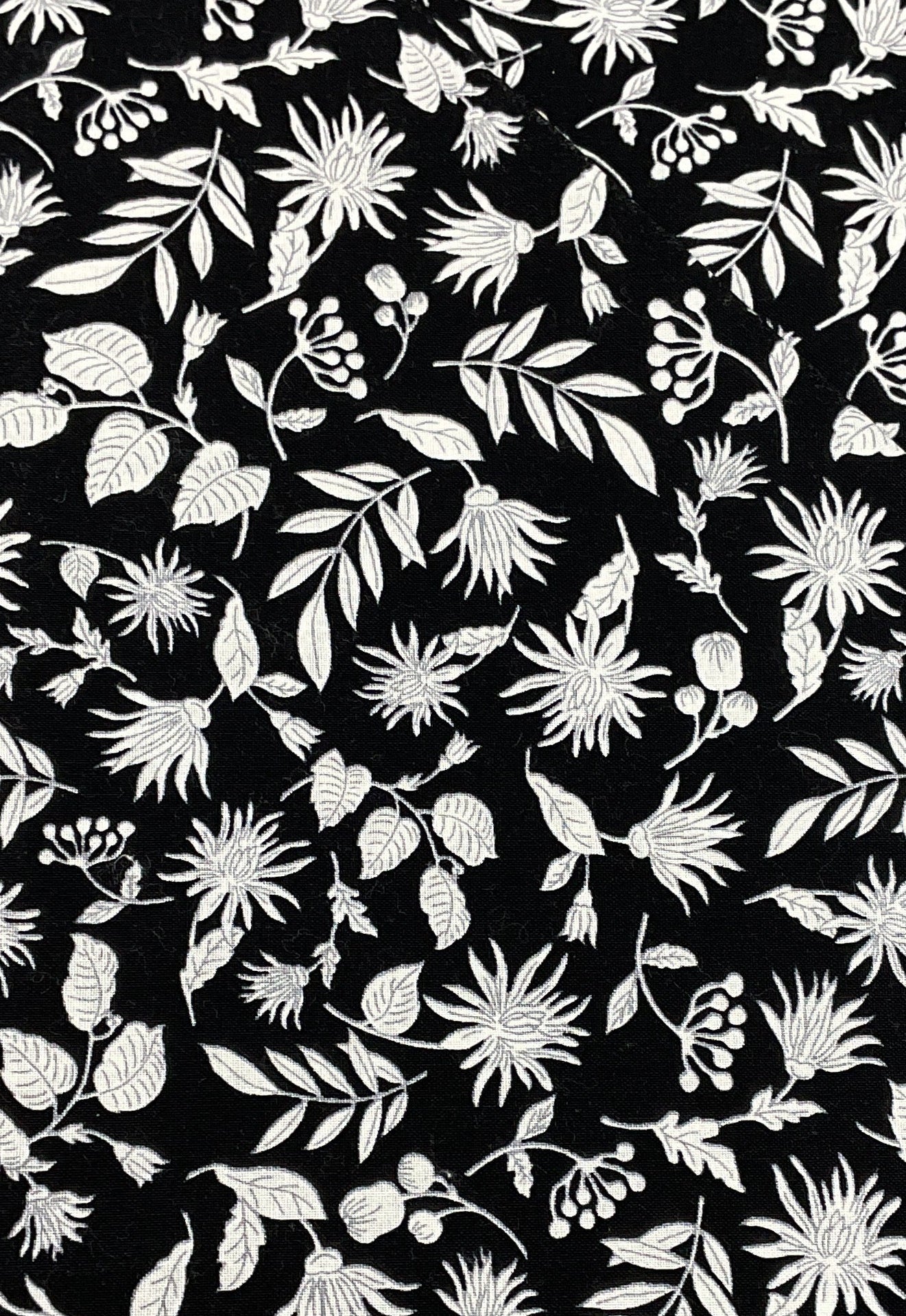 Black and White Florals - Northcott