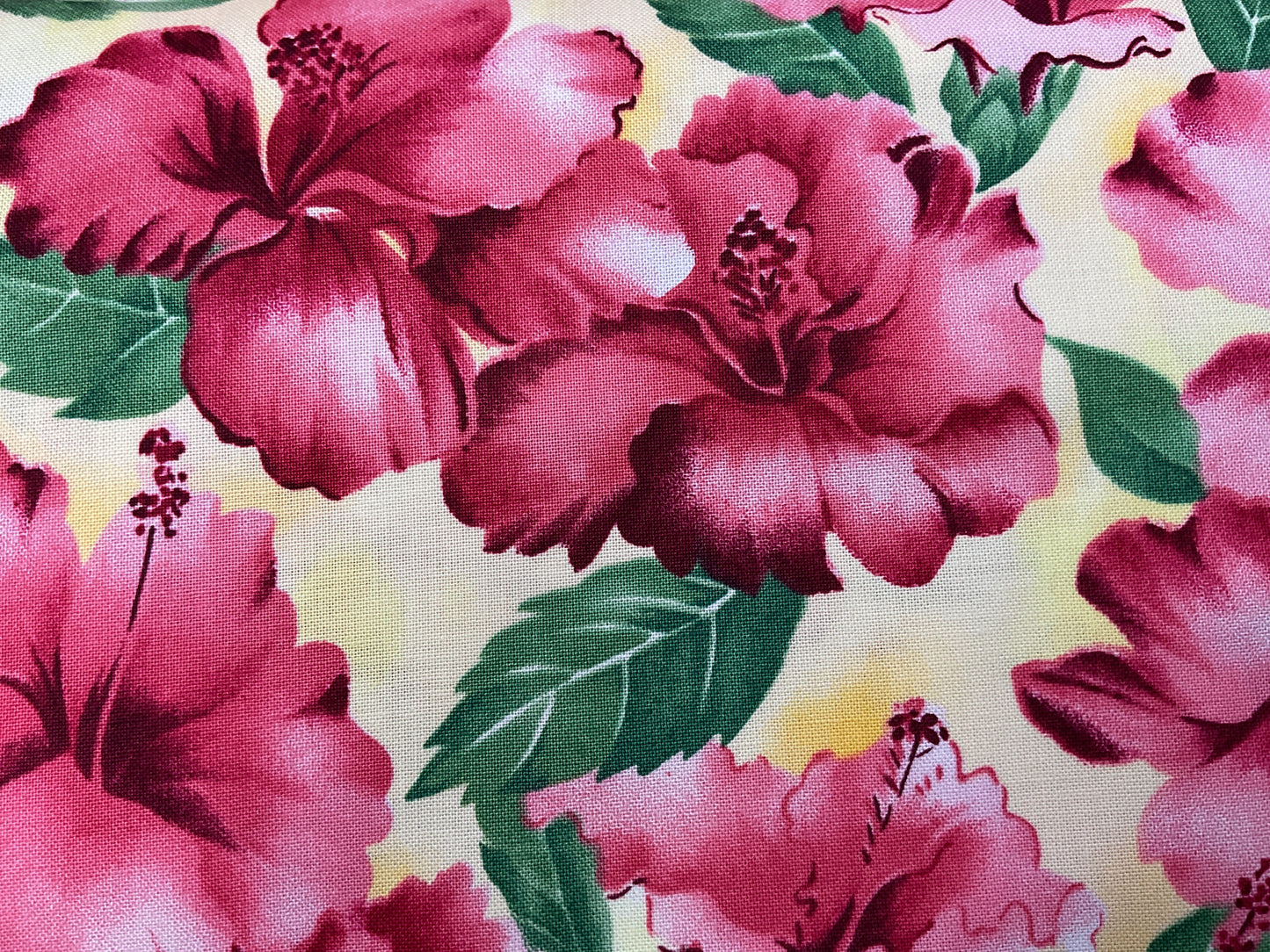 Hibiscus - Northcott