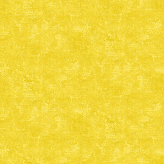 Canvas - Northcott - Bumblebee
