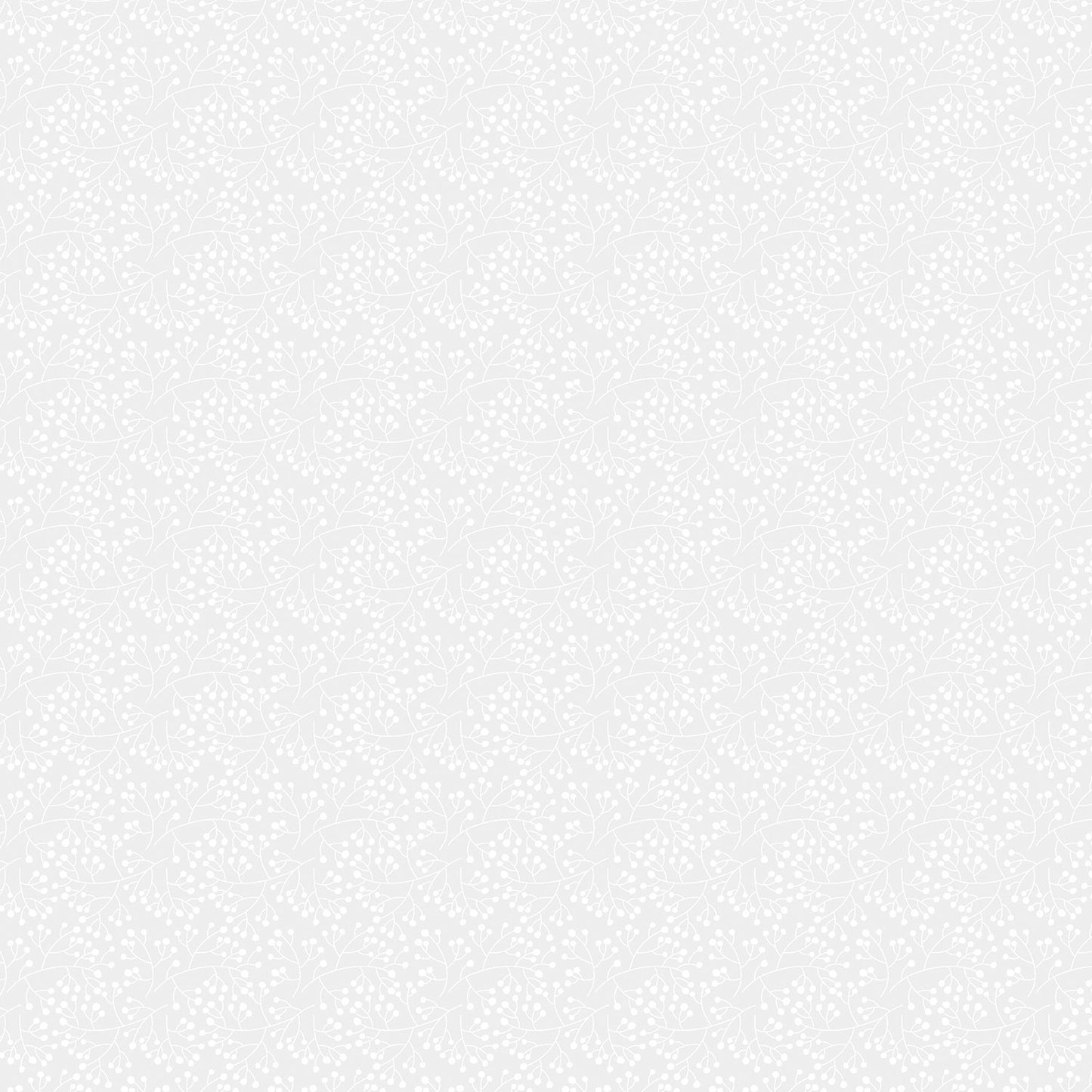 Monochrome - Seedlings - White on White