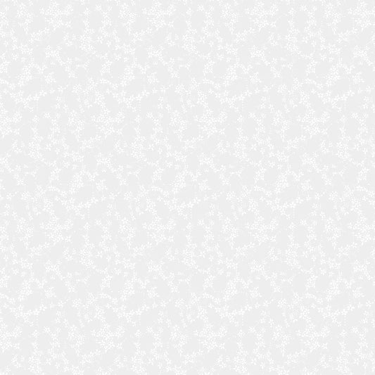 Monochrome - Dream Daisies - White on White