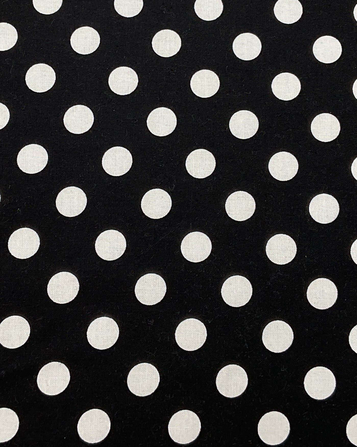 Black and White Polka Dot - Windham Fabrics