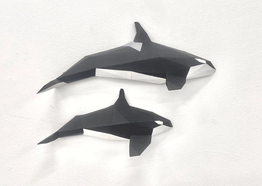 PolyPaper Kits - Orca Family