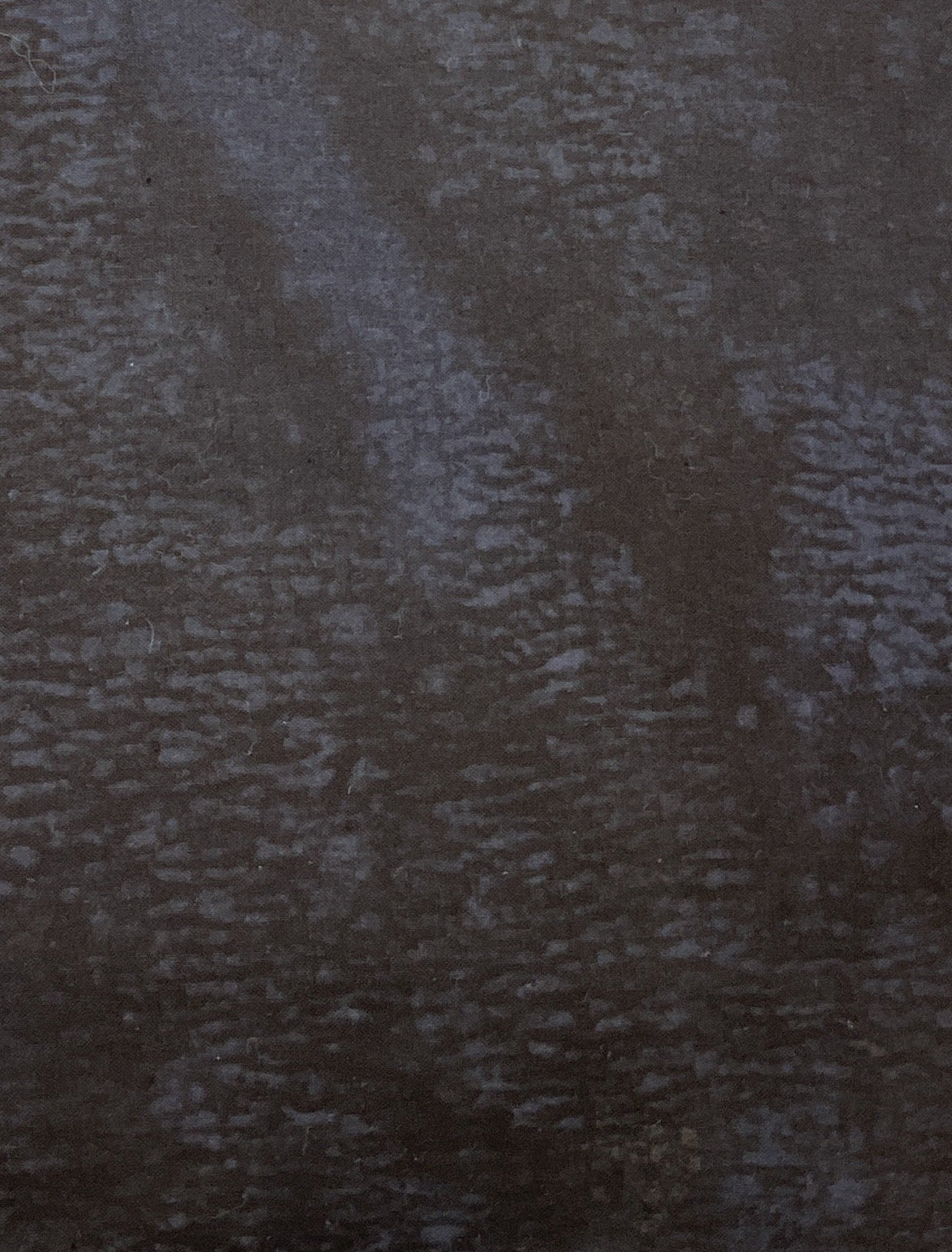 Semis - Brouillard