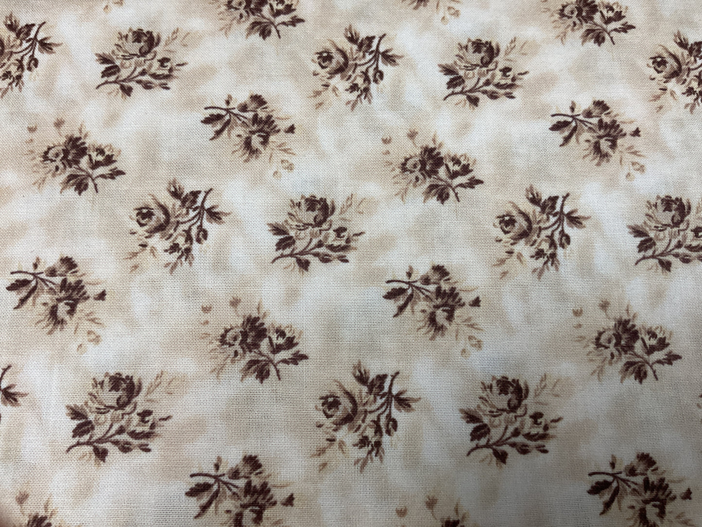 Beige Florals - Northcott