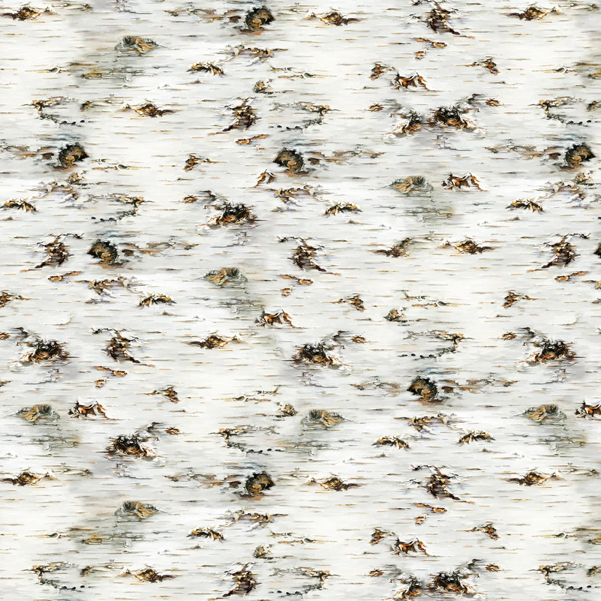 Spring Song Birch Tree Texture