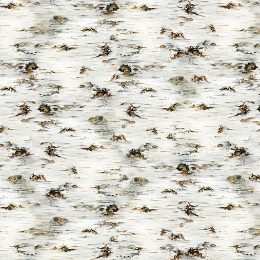 Spring Song Birch Tree Texture