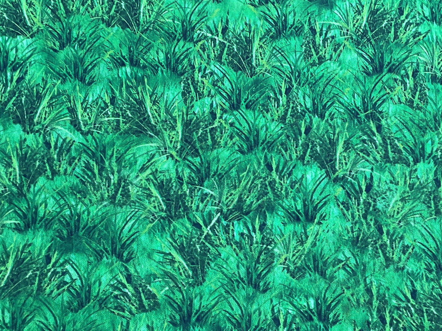 Down On The Farm - Grass - Robert Kaufman