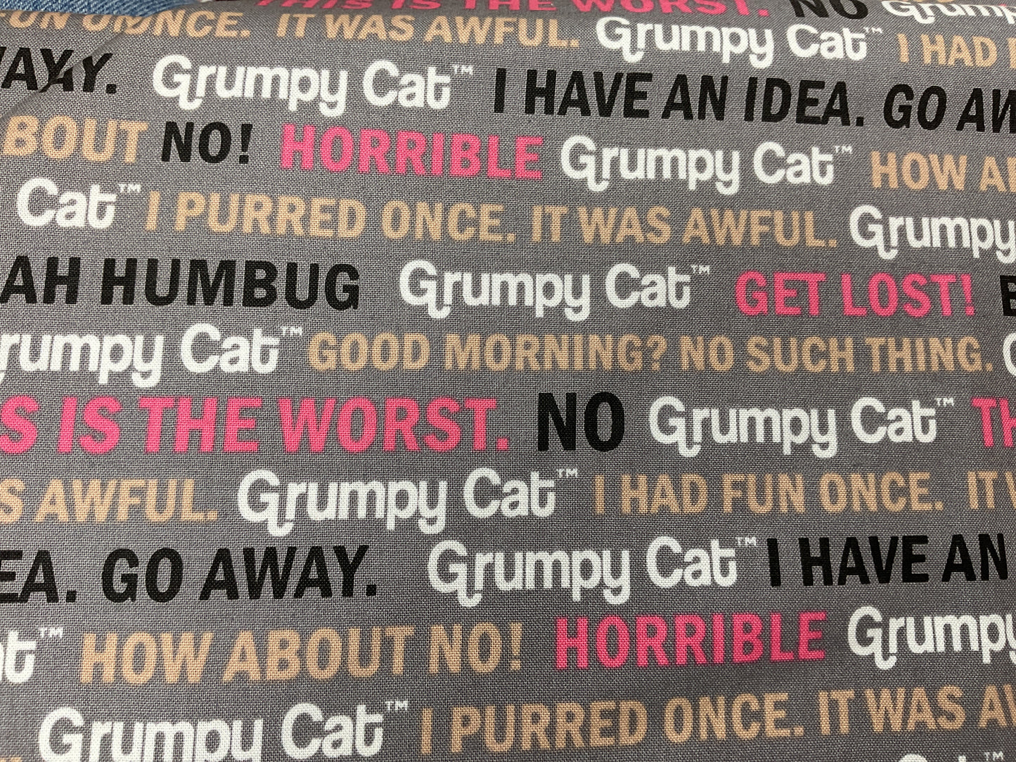 Grumpy Cat