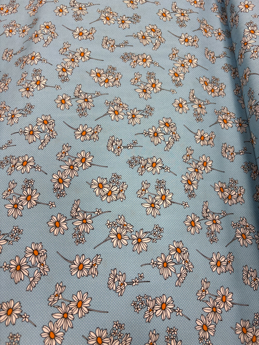 Daisy Blue
