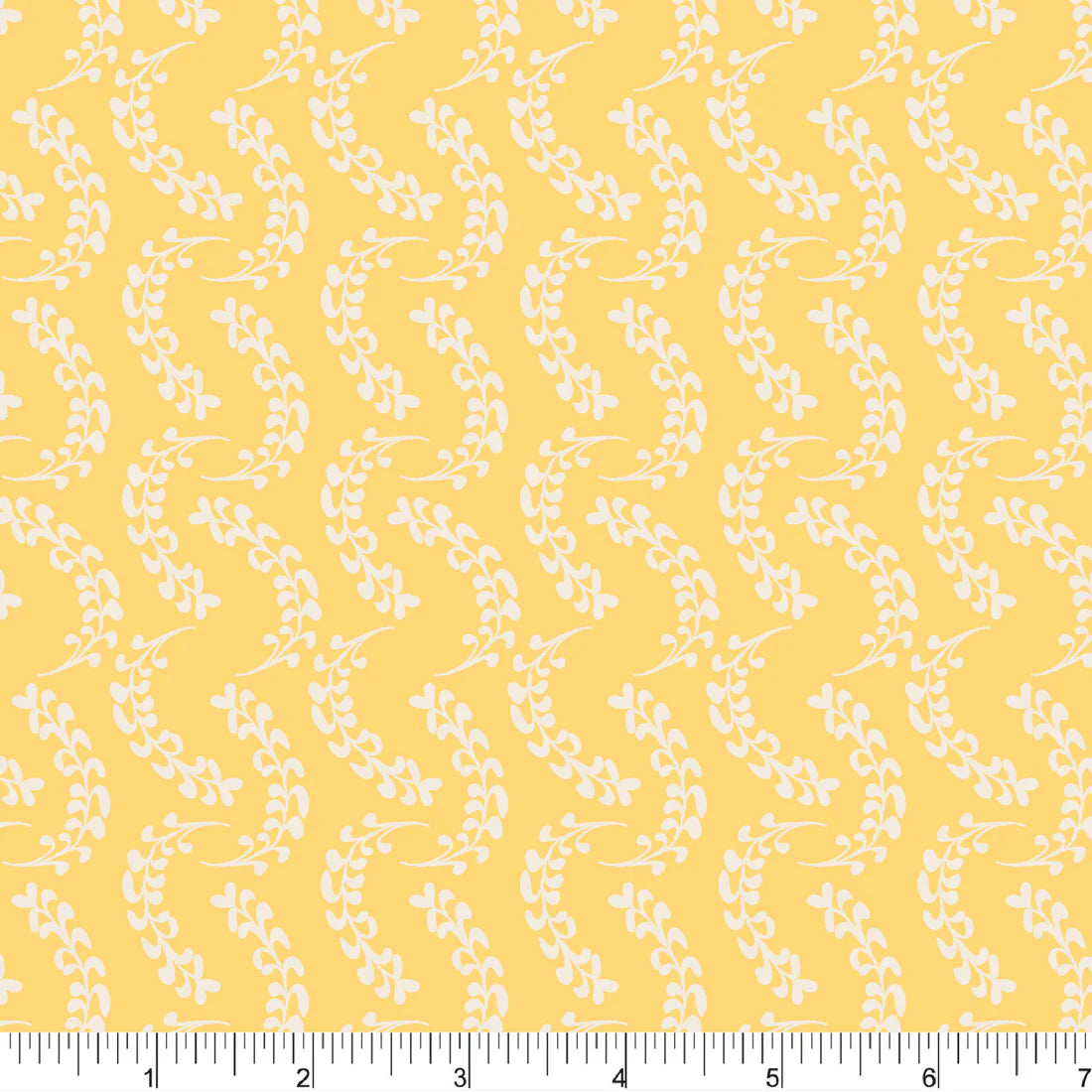 PicNYC At Central Park - Sun Road