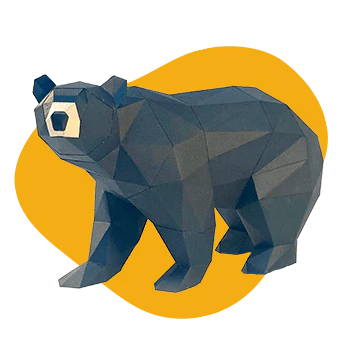 PolyPaper Kits - Black Bear